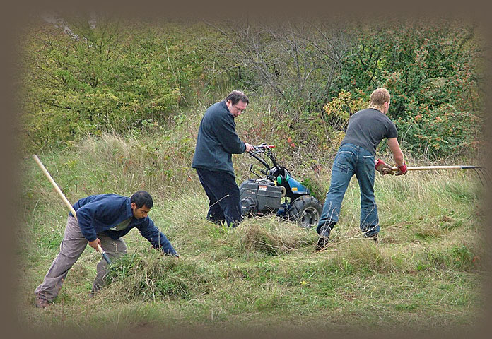 Photo of active habitat management