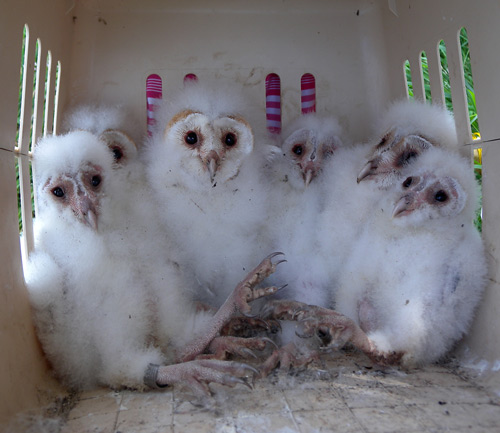 All the gang together