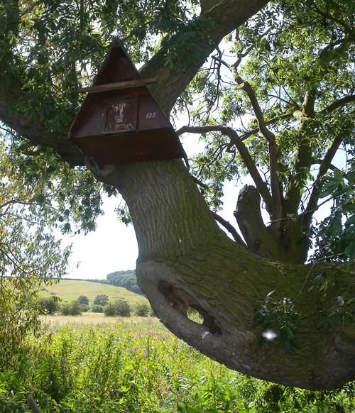 The box and below it, the hole that was preferred