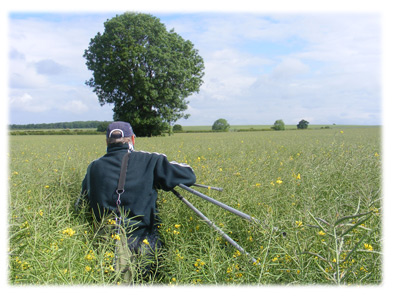 image of Howard pioneering a route through waist-high oil-seed rape