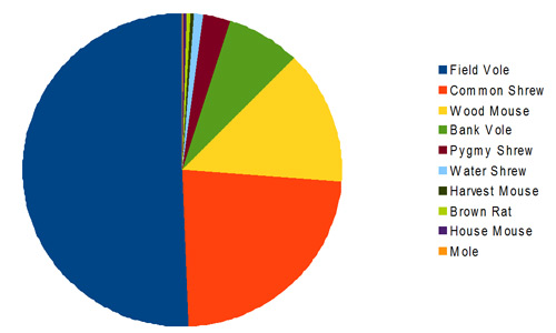 Pie Chart of Barn Owl prey